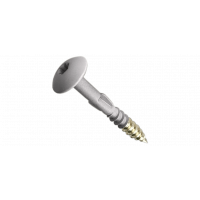 Саморезы TORX+WING (по дереву, грибовидная окрашенная шляпка С05) 4,8х38 CEDRAL