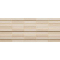 Фасадная панель Asahi AT NGZ5GIF (15*455*1820mm)