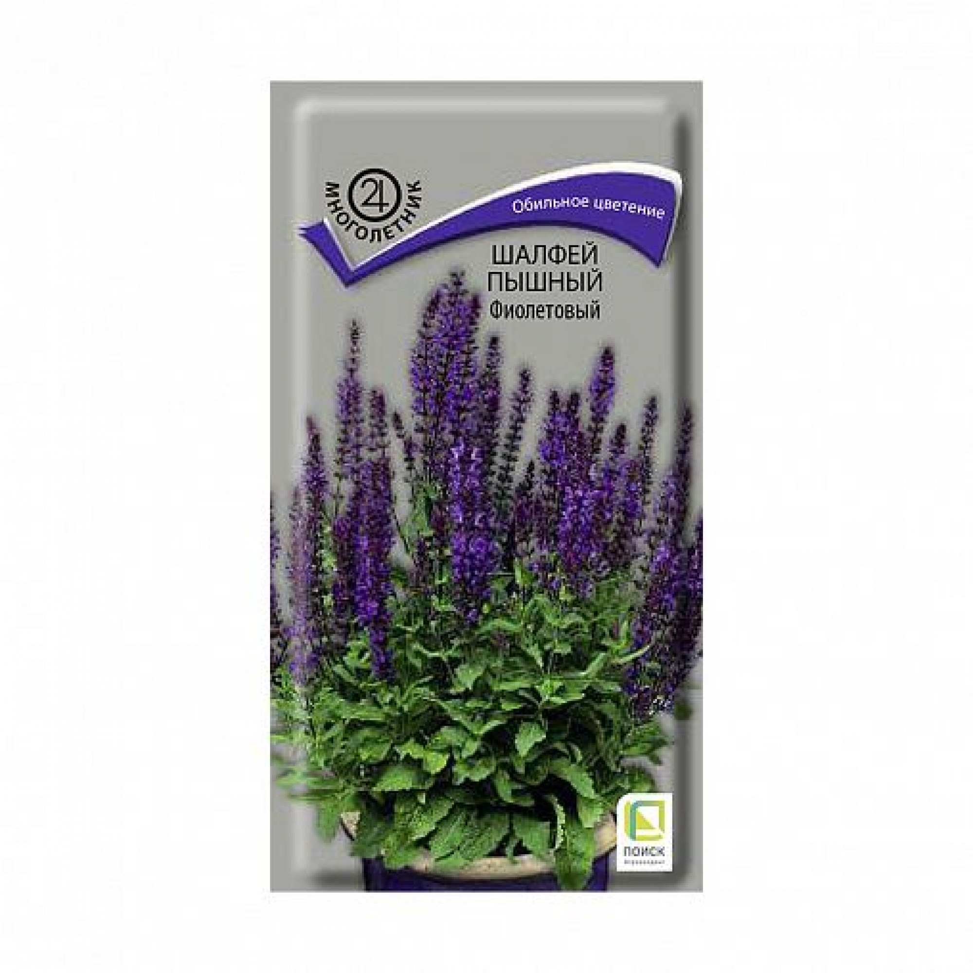 шалфей дубравный rugen. сальвия дубравная семена. сальвия дубравная розовая. сальвия дубравная (шалфей) виола клоуз. шалфей дубравный белый семена.