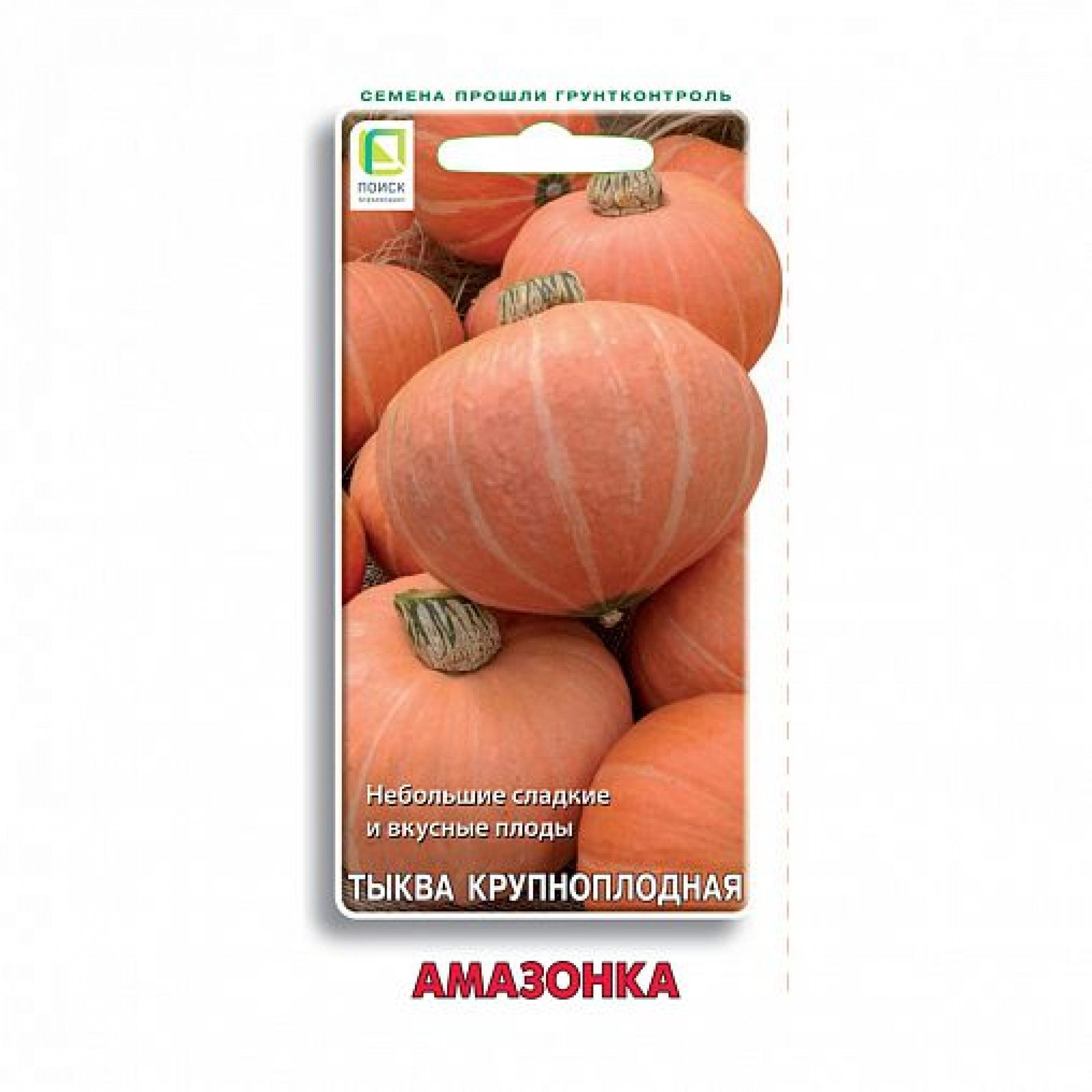 Седек тыква амазонка. Семена тыква амазонка, ~12 шт. Семена тыква бамбино, ~12 шт. Тыква амазонка фото. Семена тыква амазонка евро 1,5 г.