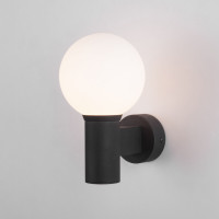 Светильник уличный настенный со стеклянным плафоном Sfera D 35126/D черный
черный