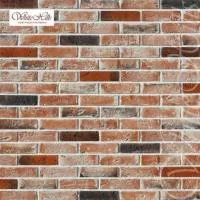 Дерри Брик 386-50