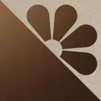 Декор к керамограниту «Керама Марацци Матрикс» беж светлый, 20×20 (SBD030\SG1593)