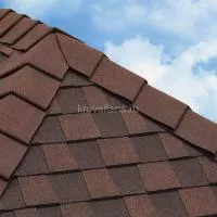 Конек Katepal (Катепал) TopRidge (Коричневый Katrilli/Rocky /Jazzy/Foxy) 6п.м.