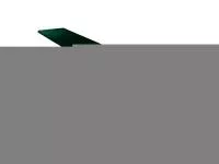 Планка П-образная для профнастила 18*30 RAL 6005 2м