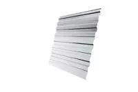 Профнастил С10R Дачный PE RAL 9003 сигнальный белый