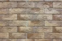 Искусственный камень Каньон Канзас 46