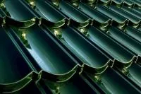 Лист Декра Элеганс, 
Зеленый глянец