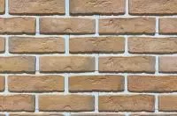 Искусственный камень Каньон Конаковский Кирпич 35
