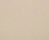 Японская штукатурка Zodiac AE7-001