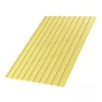 Профлист МЕТАЛЛ ПРОФИЛЬ С-8x1150-A (ПЭ-01-1018-0,45)