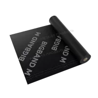 Мембрана гидро-ветрозащитная паропроницаемая BIGBAND M (1,5х46,66м)