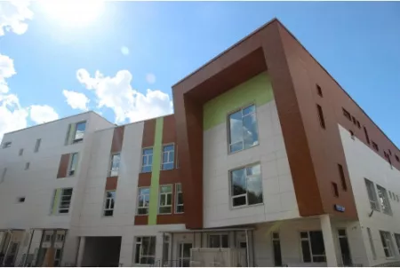 Вертикаль 0,2 classic 0,45 Drap ST с пленкой RR 32 темно-коричневый