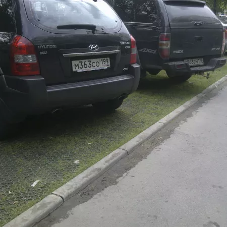 Решетка газонная Gidrolica Eco Standart РГ-70.40.3,2 - пластиковая зеленая