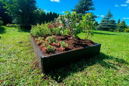 Доска грядочная NauticPrime 225*30*2950мм, венге