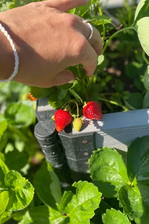 Доска грядочная NauticPrime 300*30*2950мм, серый