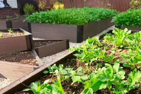 Доска грядочная NauticPrime 150*25*2950мм, венге