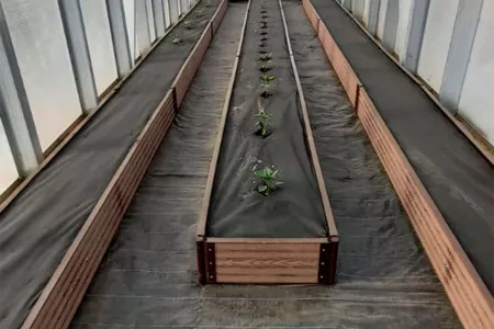 Доска грядочная Holzhof 150*25*2950мм, тиснение 3D