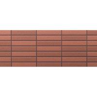 Фасадная панель Asahi AT YGWX66XYR  (16*455*3030mm)