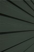 Сайдинг CEDRAL wood (под дерево) С31 (Зелёный океан)