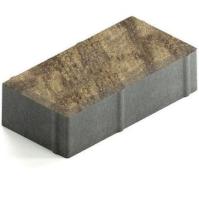 Брусчатка Steingot Color Mix Safari №11 прямоугольник 200х100х60 мм