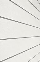 Сайдинг CEDRAL smooth (гладкий) С01 (Белый минерал)