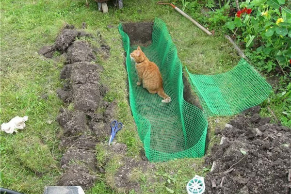 Сетка от кротов для грядок 1х10 м (10 кв.м.)